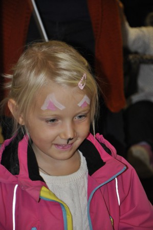 en nästan färdig katt